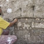 1.4 Injertos y reintegracion de áreas erosionadas