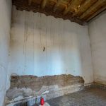 10. Pared