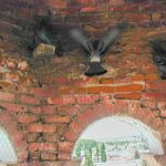 10.Interior campanario